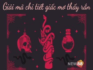 Giải mã giấc mơ thấy rắn là điềm gì? Lành hay dữ?