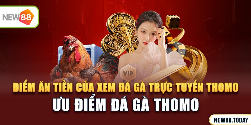 Điểm ăn tiền của xem đá gà trực tuyến thomo